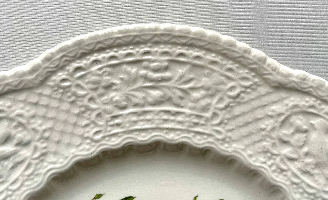 Antique Artist Signed Pinecones & Pine Grosbeak 🐦 Bird Plate Relief Border