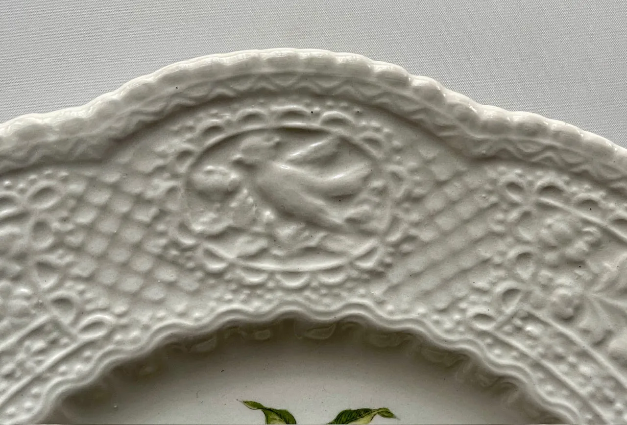 Antique Artist Signed Pinecones & Pine Grosbeak 🐦 Bird Plate Relief Border