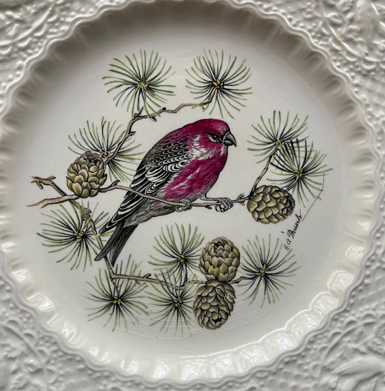 Antique Artist Signed Pinecones & Pine Grosbeak 🐦 Bird Plate Relief Border