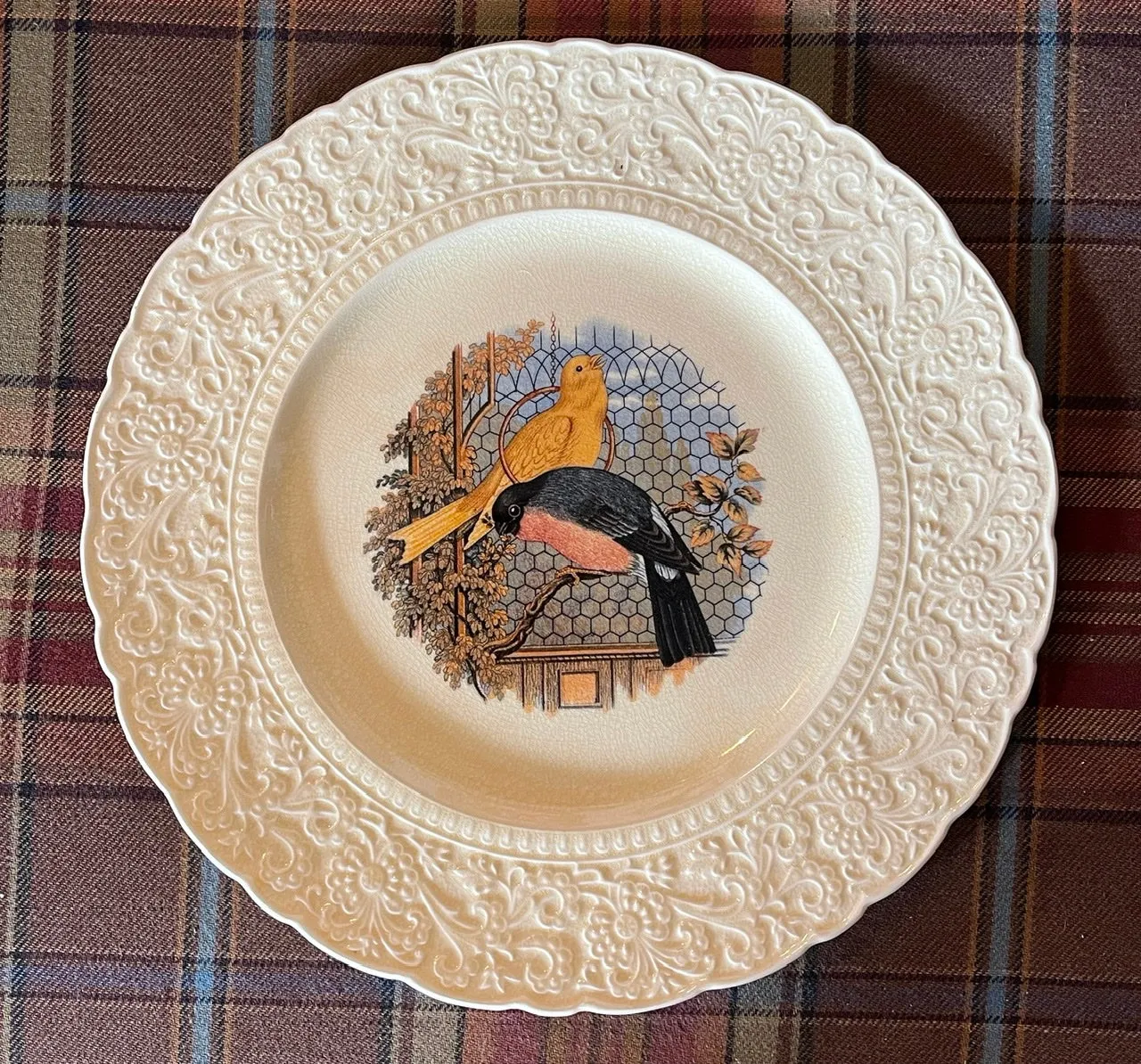 Antique Pratt Cauldon  Meadowlark & Goldfinch Birds BirdCage Brown Transferware Plate Relief Border