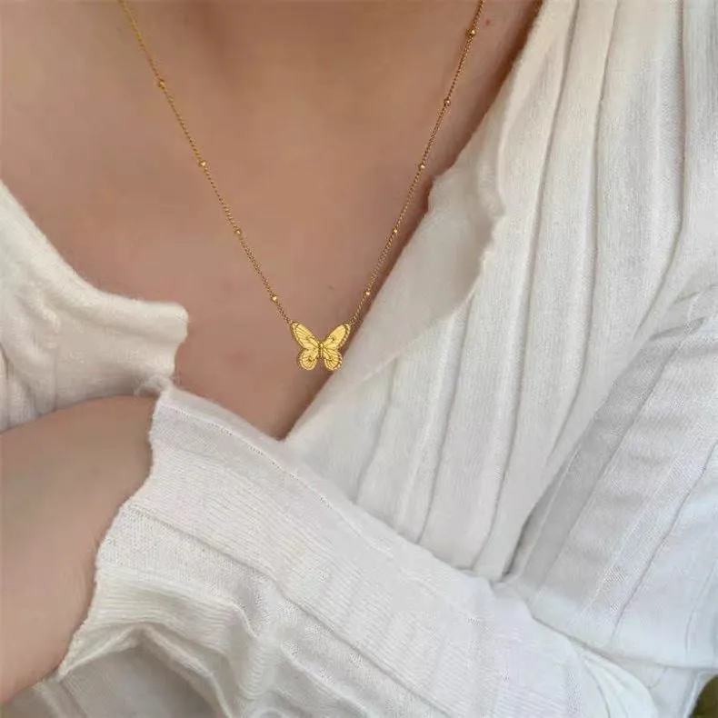 Beautiful and Unique Little Butterfly