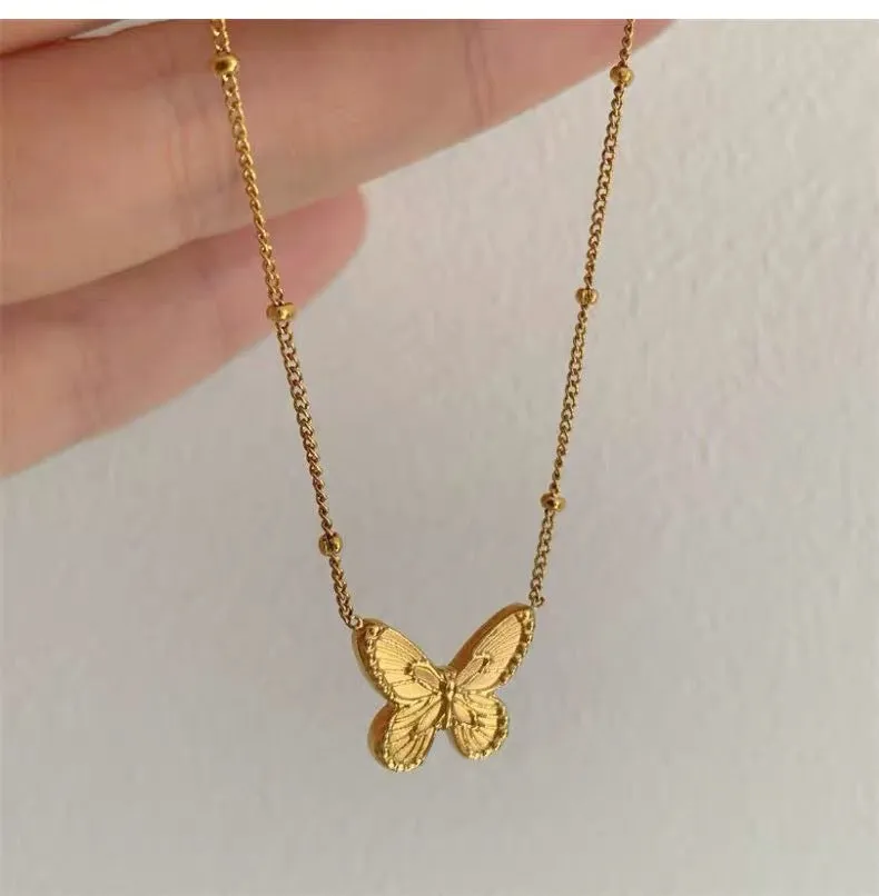 Beautiful and Unique Little Butterfly