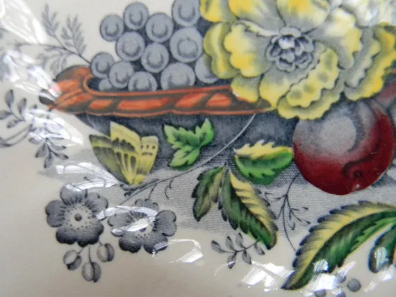 Blue Transferware Plate Basket of Fruit and Flowers Butterfly Royal Doulton