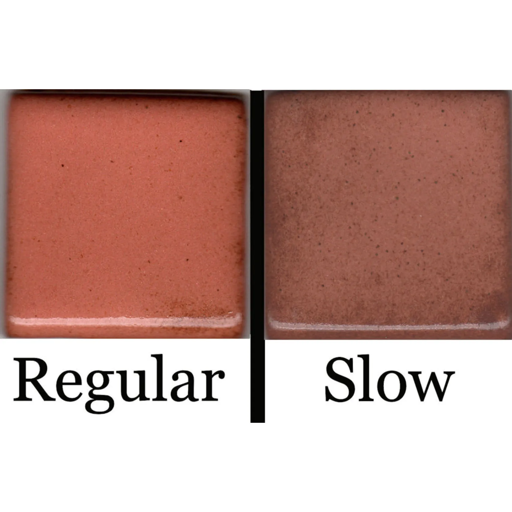 Coyote Cone 5-6 Shino Glazes