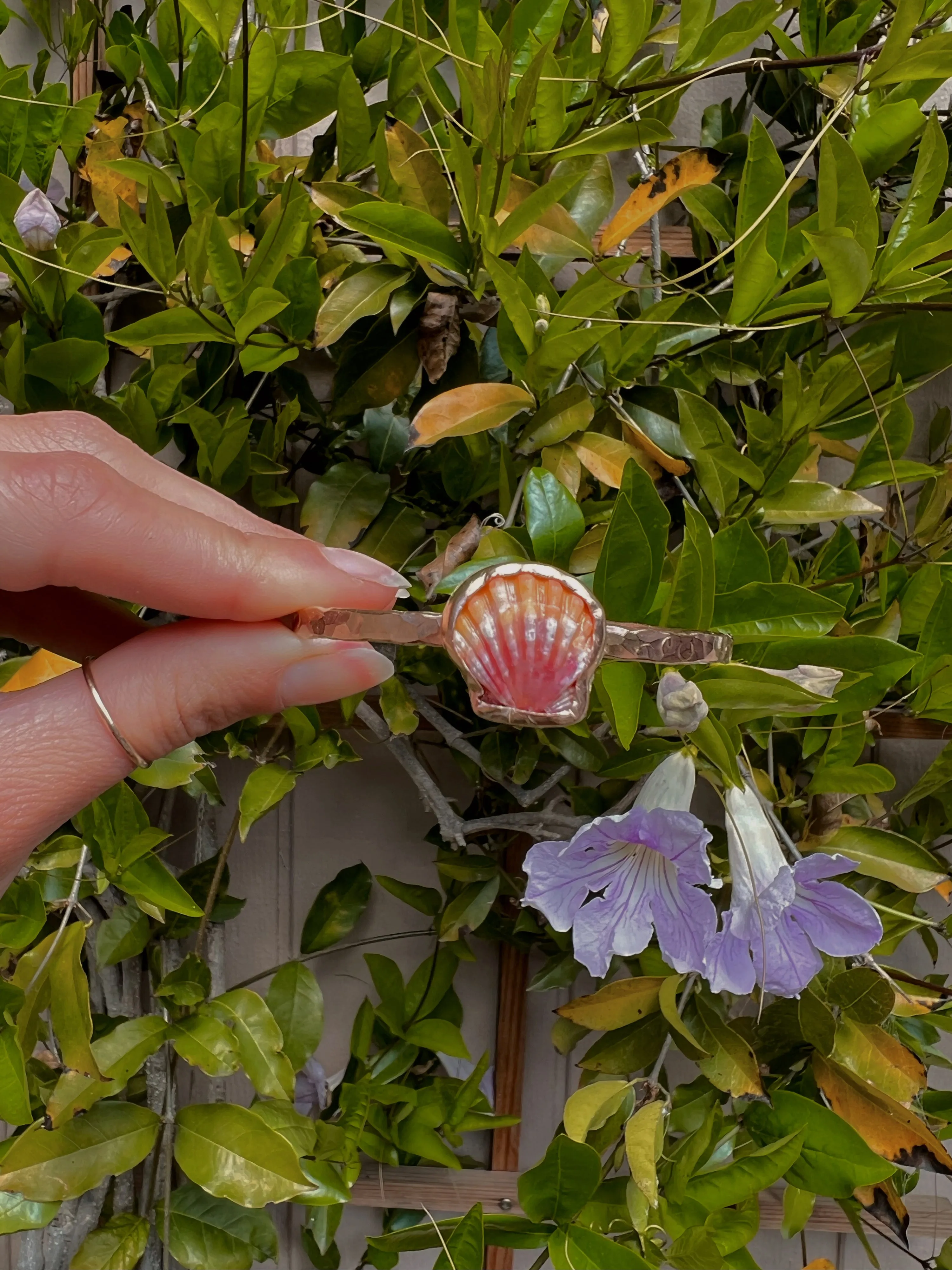 Hawaiian Sunrise Shell Bangle