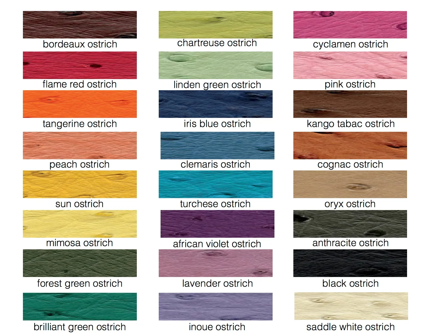 LIBERTY - ASSORTED COLORS