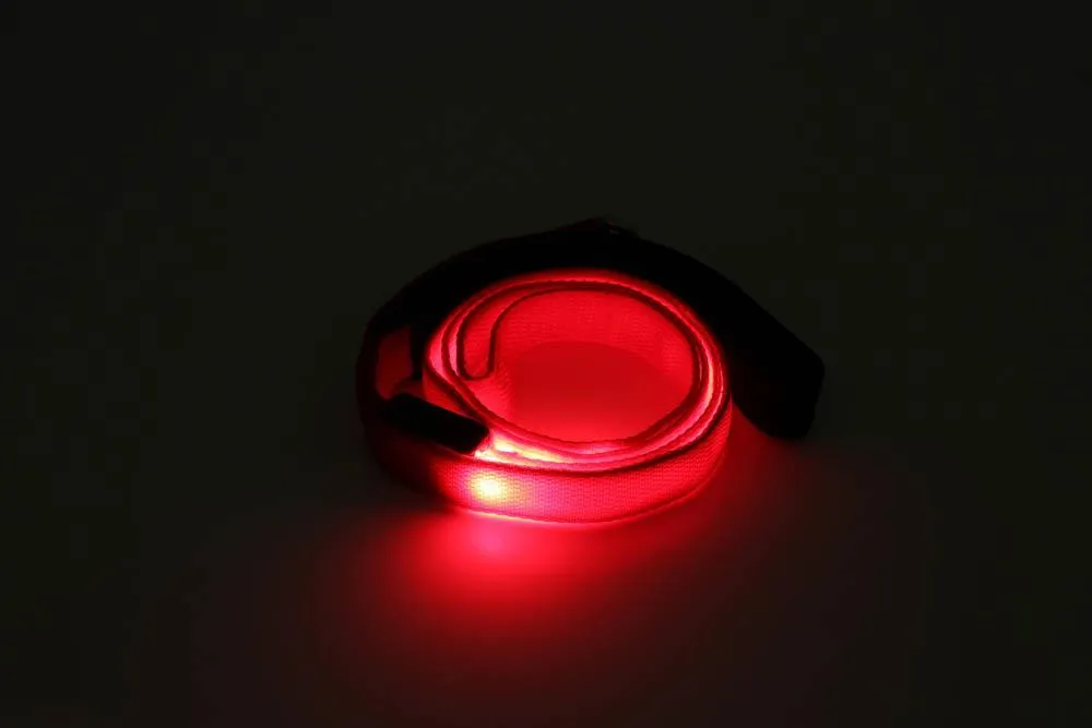 Light-Up Dog Leash