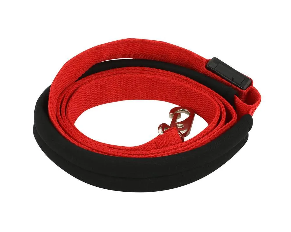 Light-Up Dog Leash