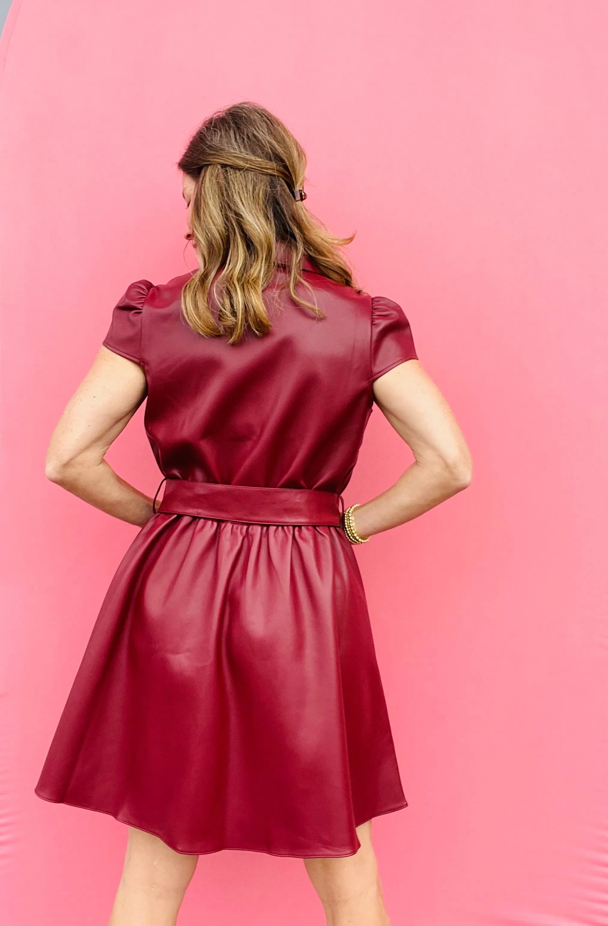 Maroon Eiza Leather Mini