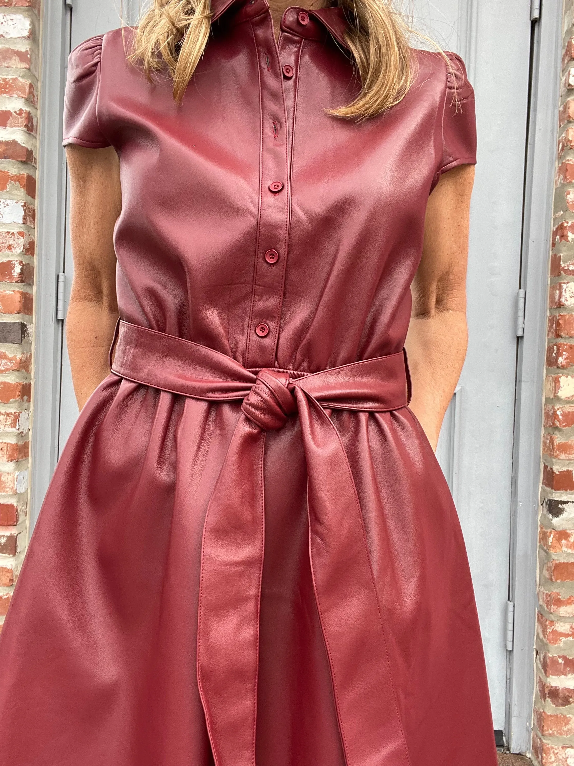 Maroon Eiza Leather Mini