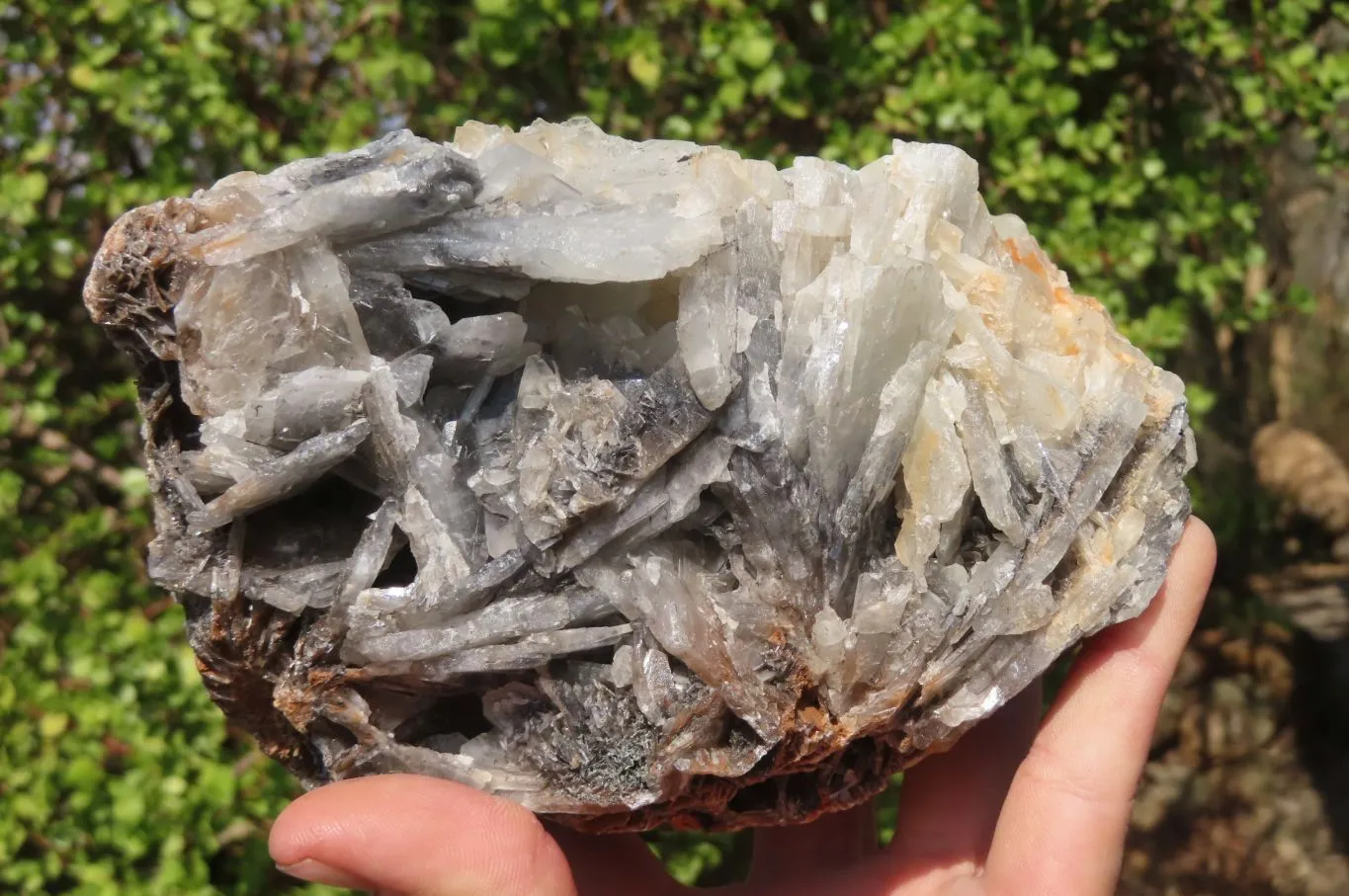 Natural Bladed Barite Specimen x 1 From Congo