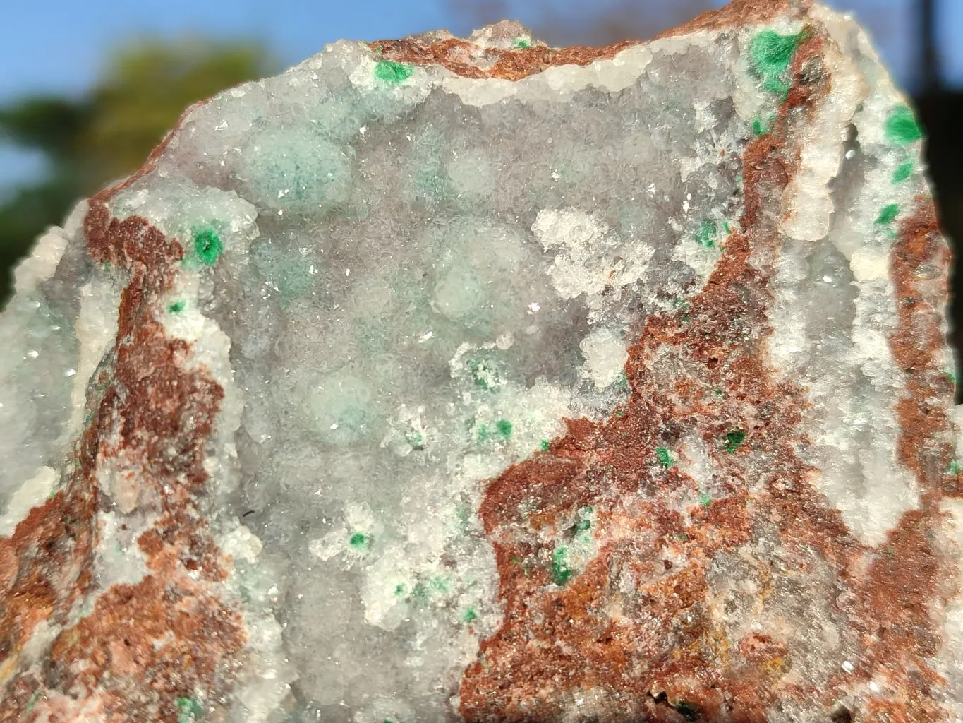 Natural Drusy Quartz Coated Chrysocolla In Dolomite x 1 From Likasi, Congo