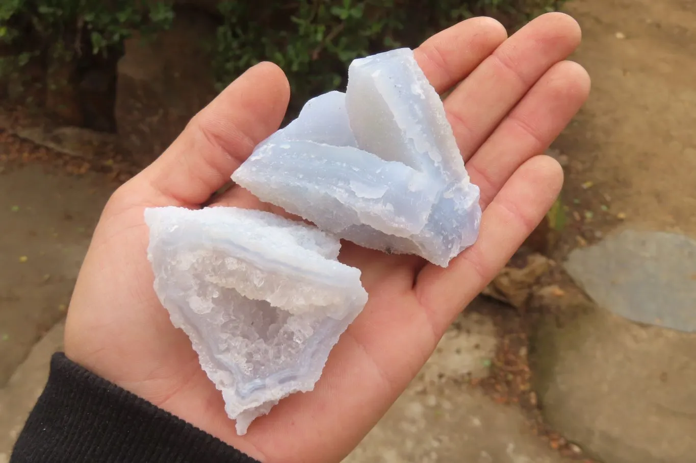 Natural Etched Blue Chalcedony Specimens x 12 From Malawi
