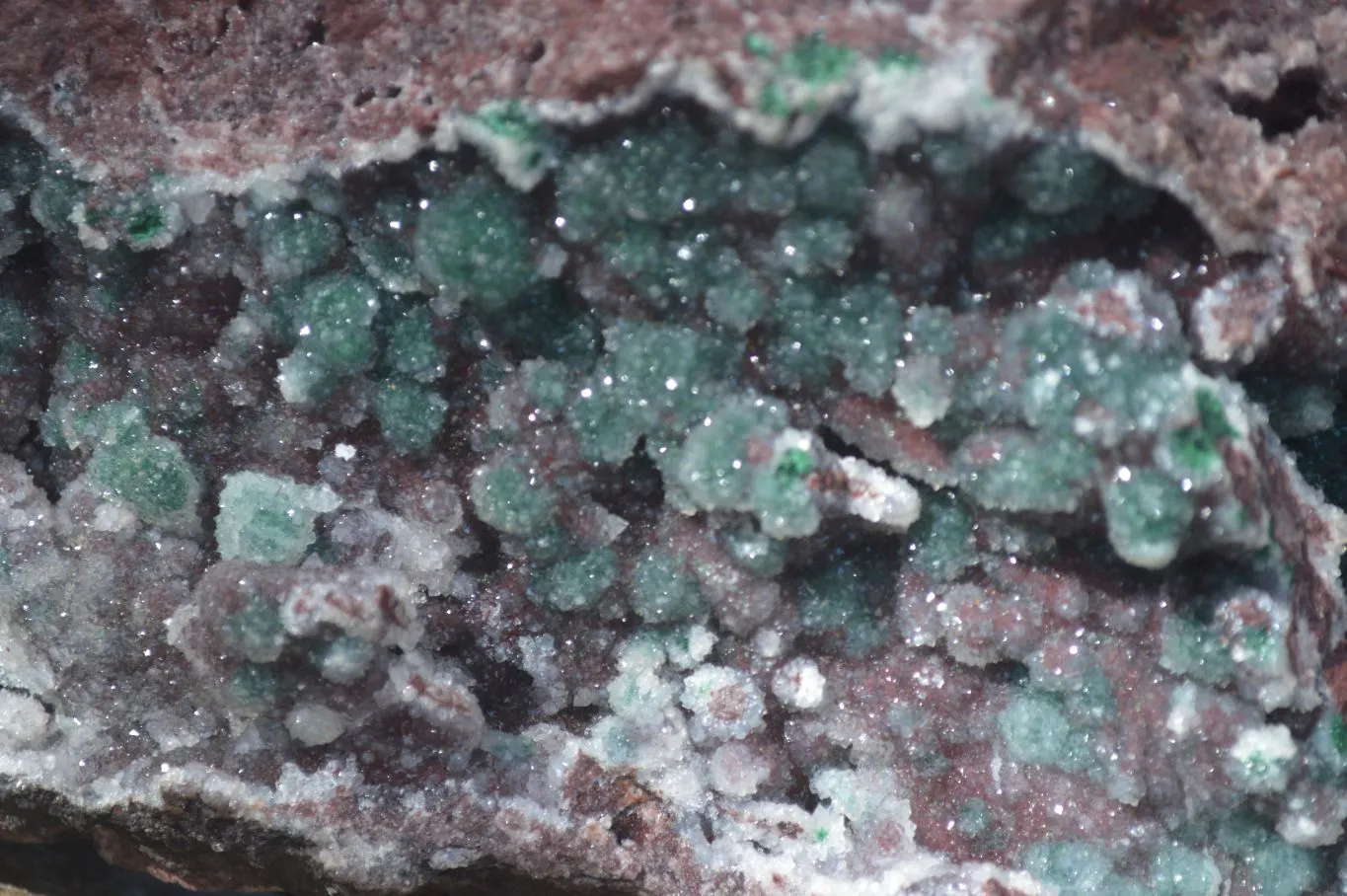 Natural Extra Large Drusy Coated Ball Malachite On Red Dolomite Specimen x 1 From Likasi, Congo