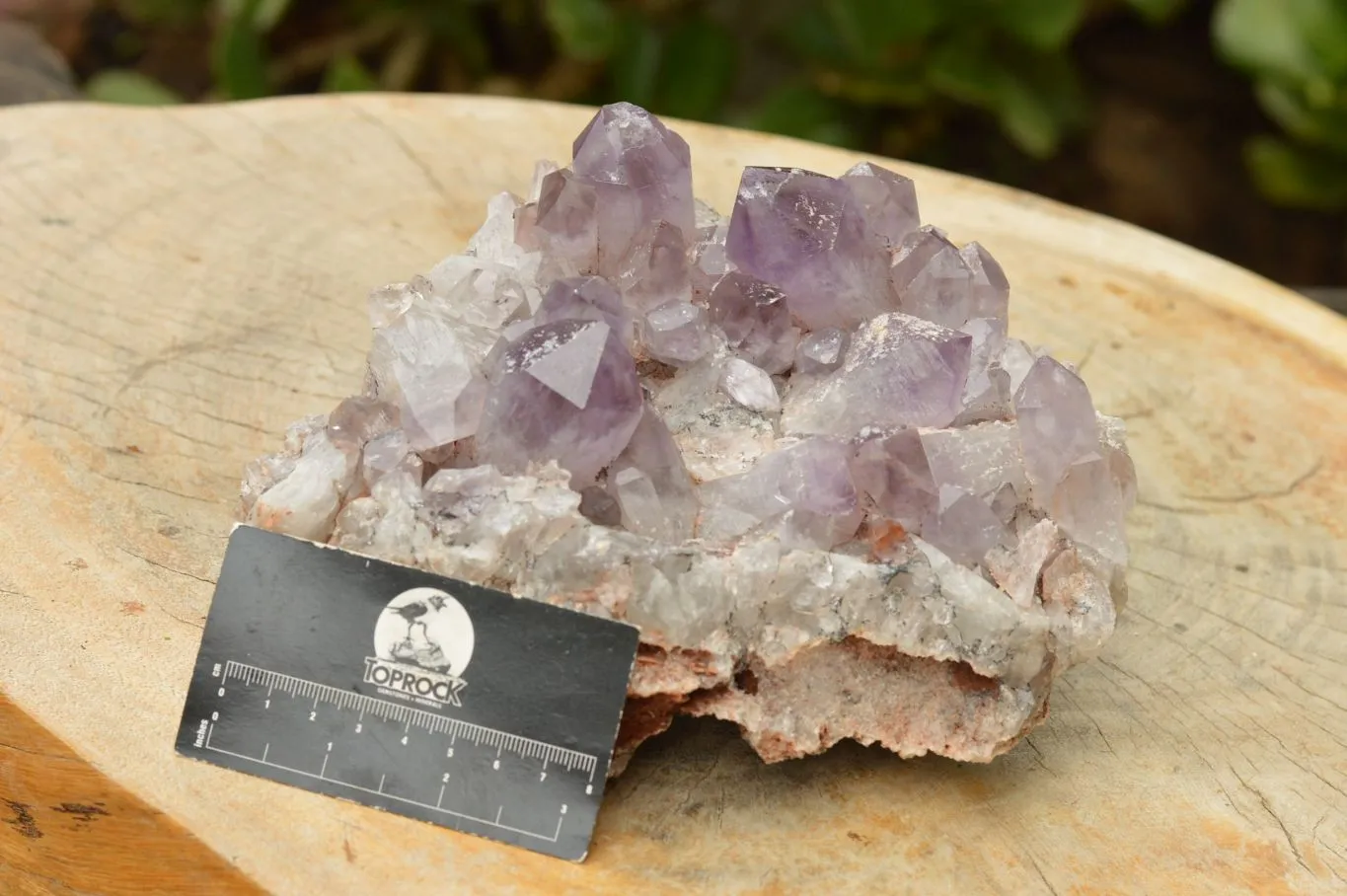 Natural Jacaranda Amethyst Quartz Cluster x 1 From Zambia