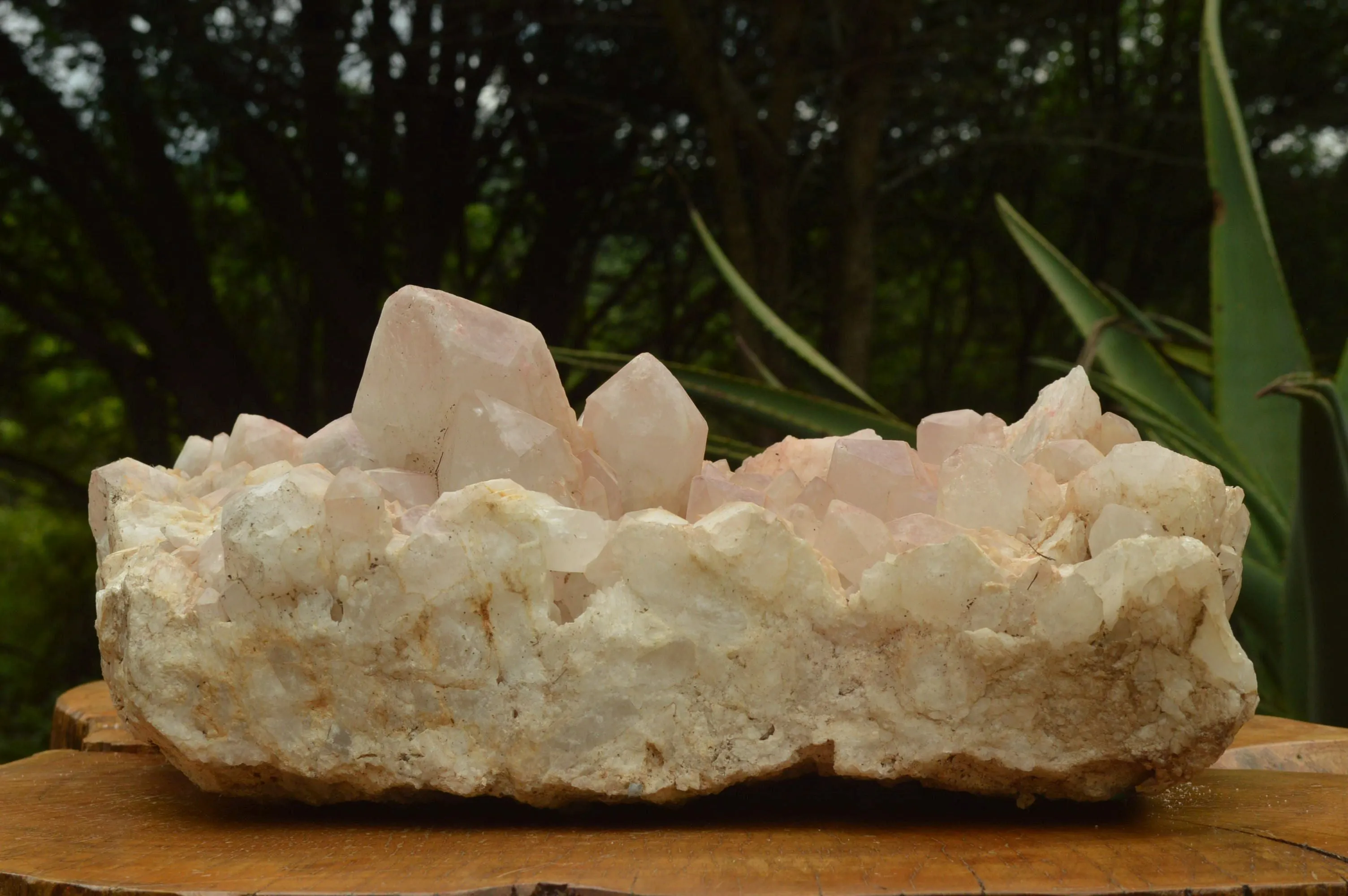 Natural Large Cascading Red Hematoid Tinted Quartz  Cluster x 1 From Zambia