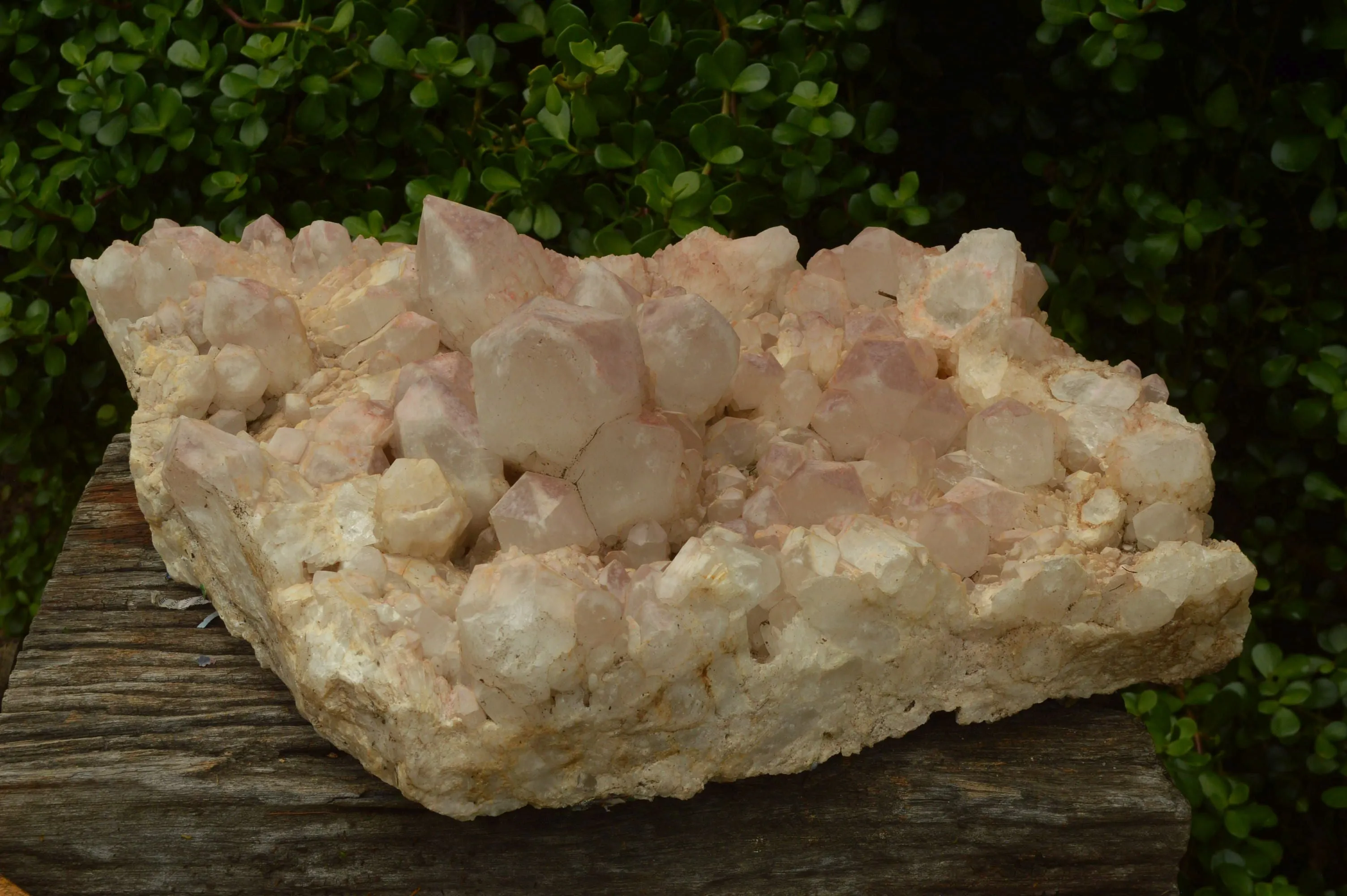 Natural Large Cascading Red Hematoid Tinted Quartz  Cluster x 1 From Zambia
