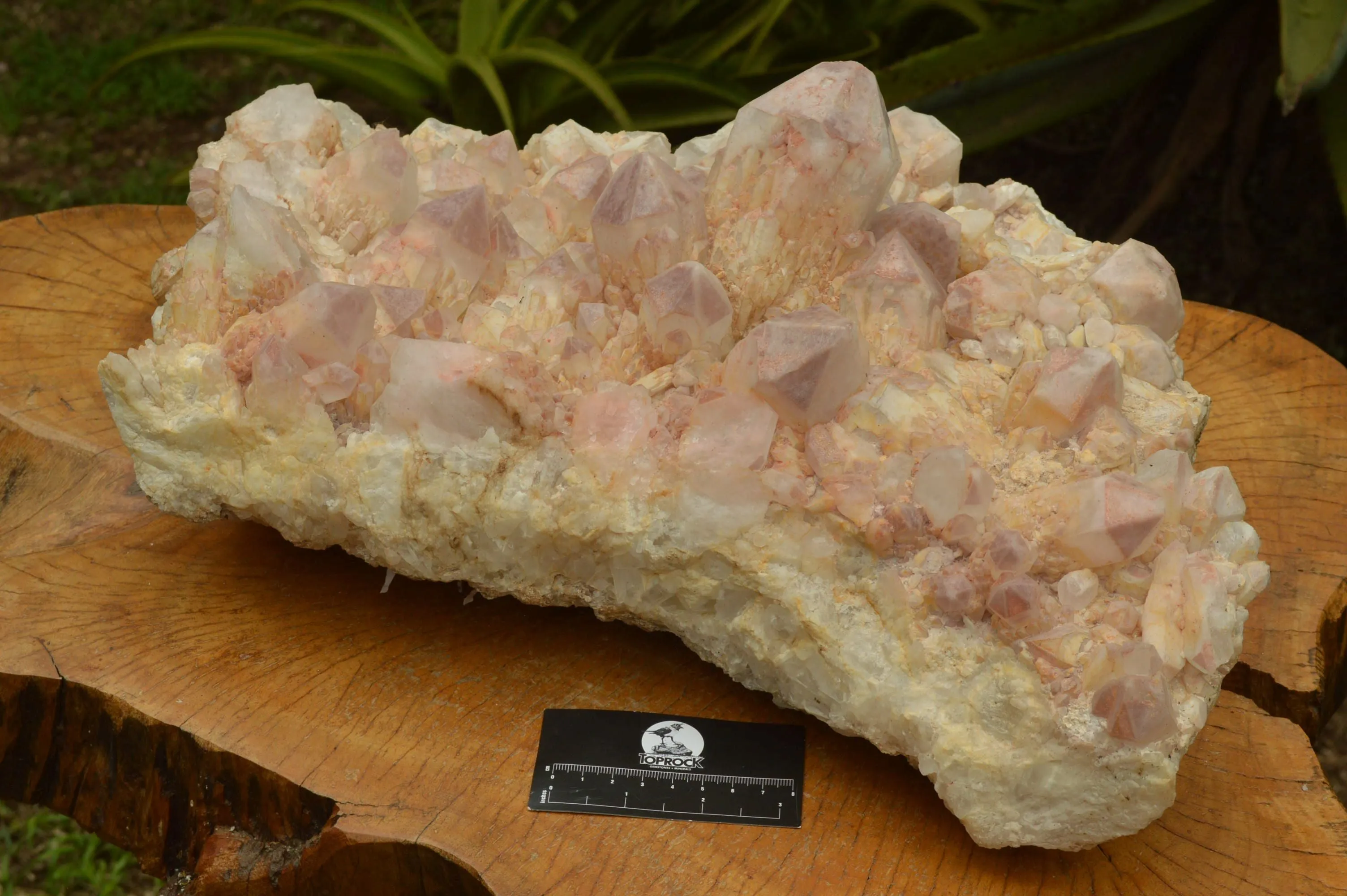 Natural Large Cascading Red Hematoid Tinted Quartz  Cluster x 1 From Zambia