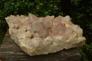 Natural Large Cascading Red Hematoid Tinted Quartz  Cluster x 1 From Zambia