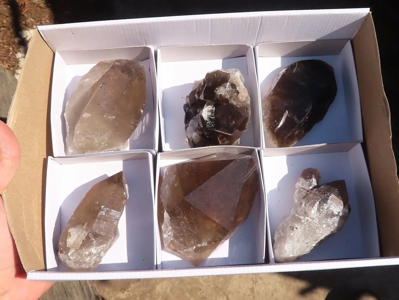 Natural Large Smokey Quartz Crystals x 6 From Mulanje, Malawi