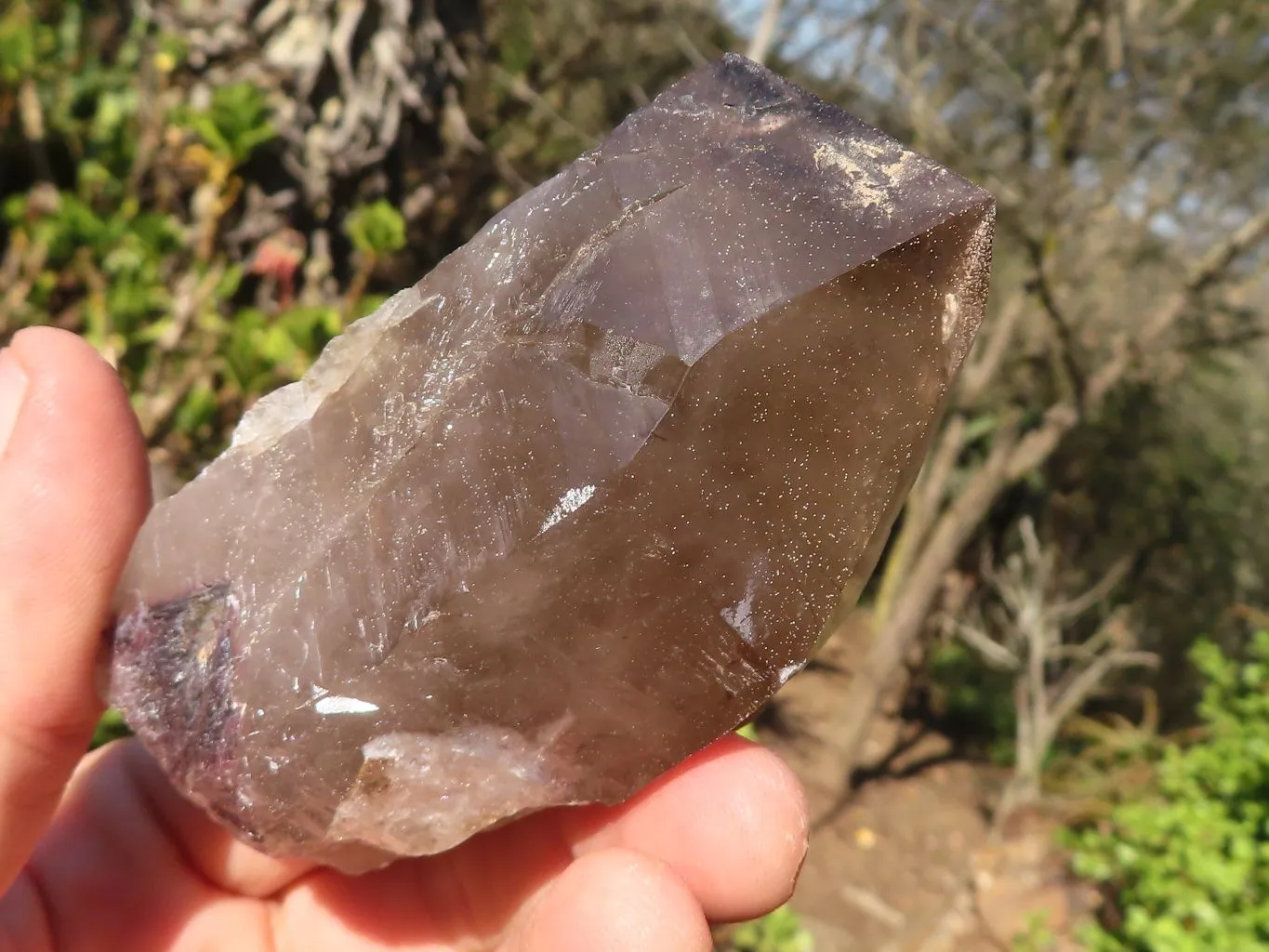Natural Large Smokey Quartz Crystals x 6 From Mulanje, Malawi