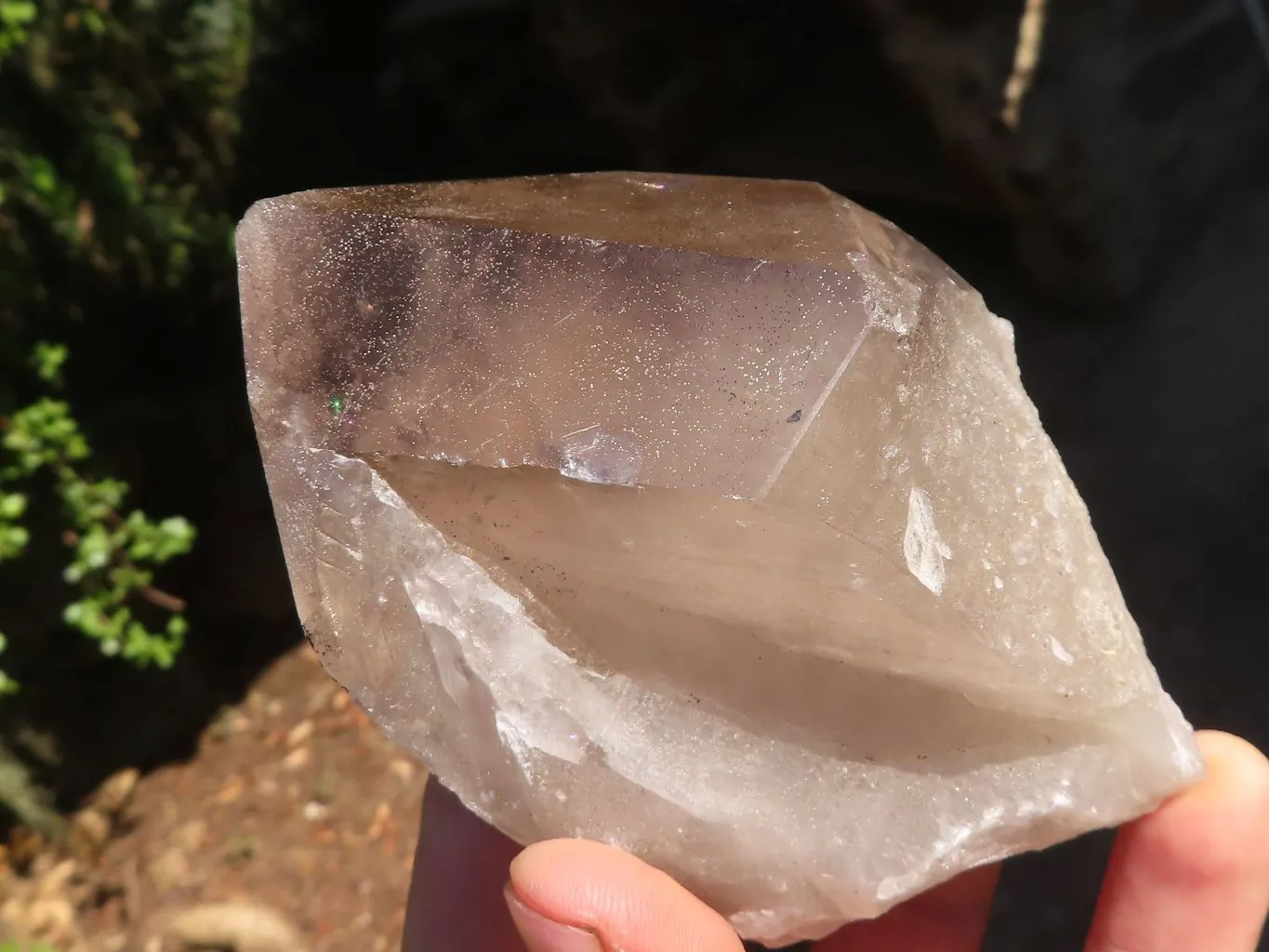 Natural Large Smokey Quartz Crystals x 6 From Mulanje, Malawi
