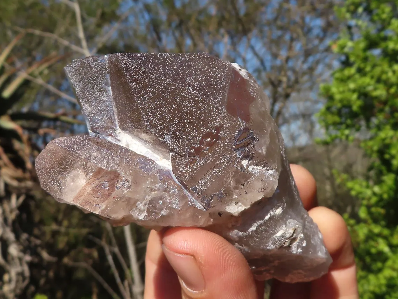 Natural Large Smokey Quartz Crystals x 6 From Mulanje, Malawi