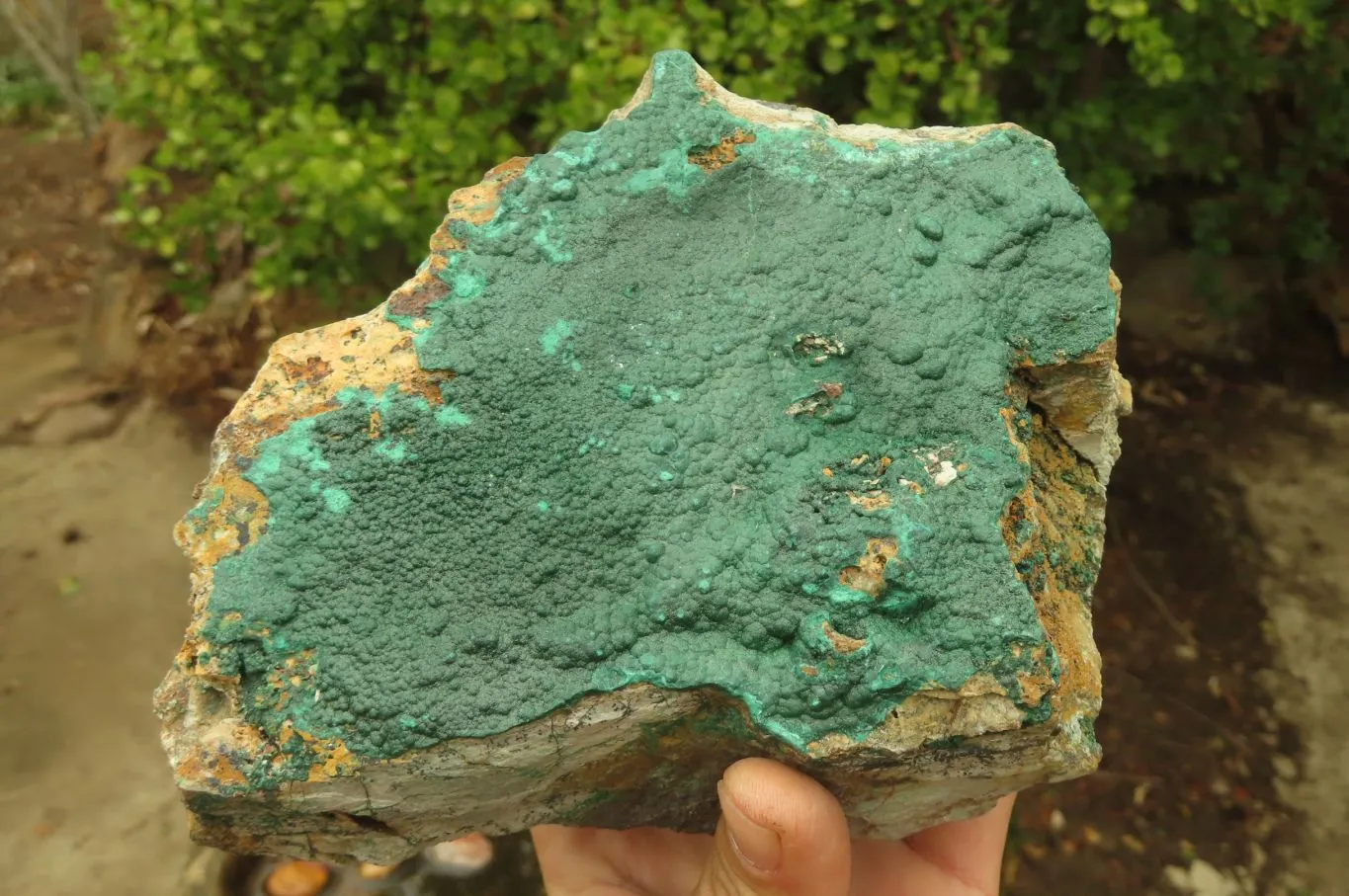 Natural Malachite Specimen x 1 From Tenke Fungumure, Congo