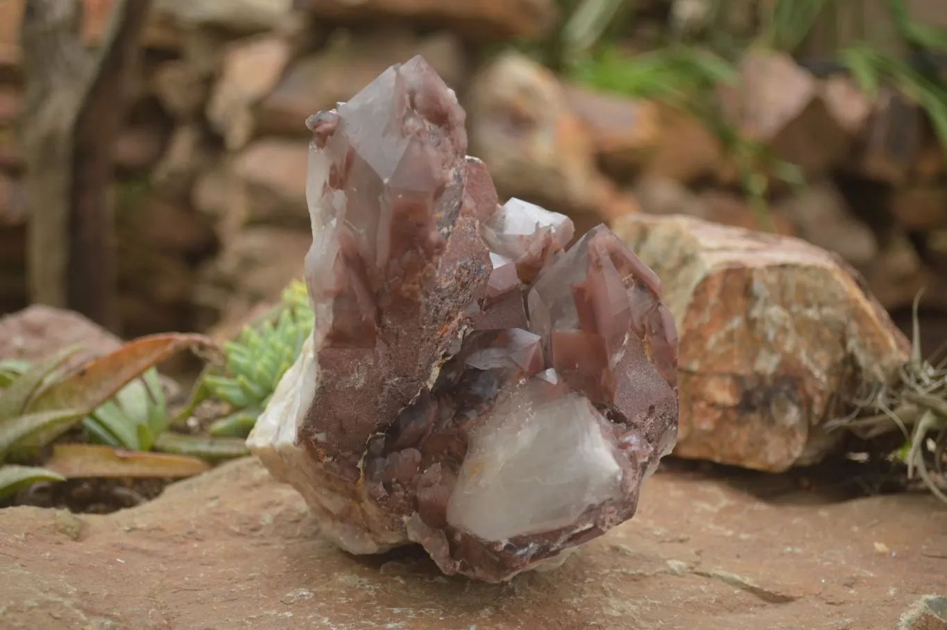 Natural Red Hematoid Quartz Specimen x 1 From Karoi, Zimbabwe