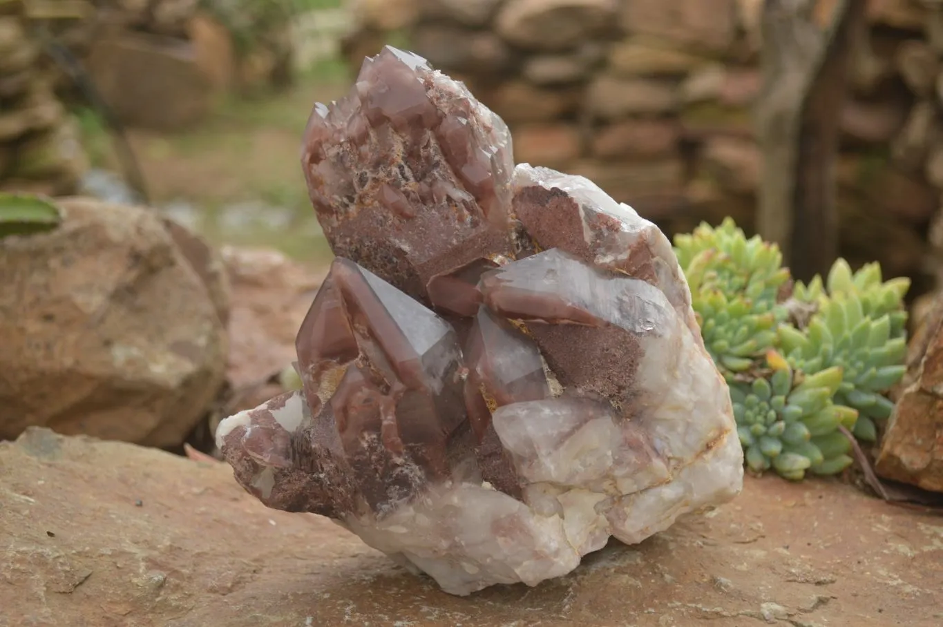 Natural Red Hematoid Quartz Specimen x 1 From Karoi, Zimbabwe