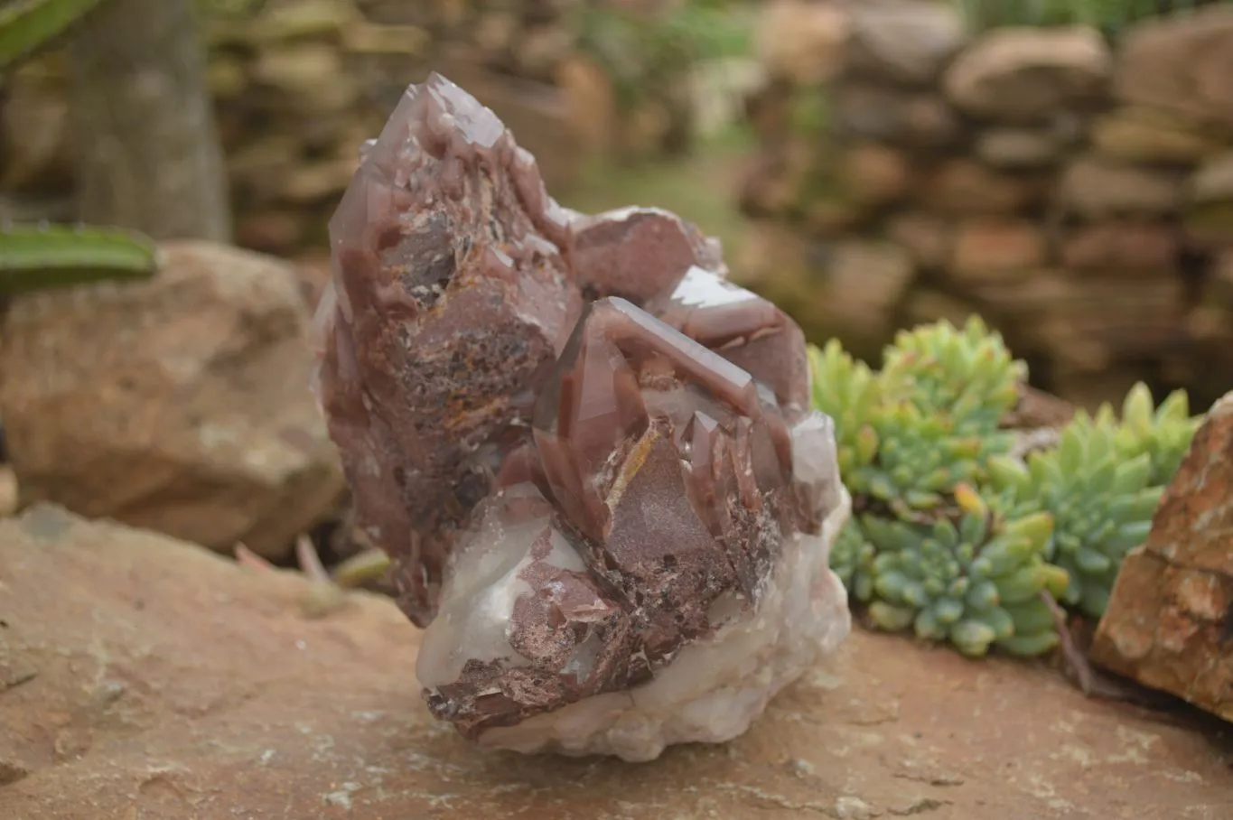 Natural Red Hematoid Quartz Specimen x 1 From Karoi, Zimbabwe