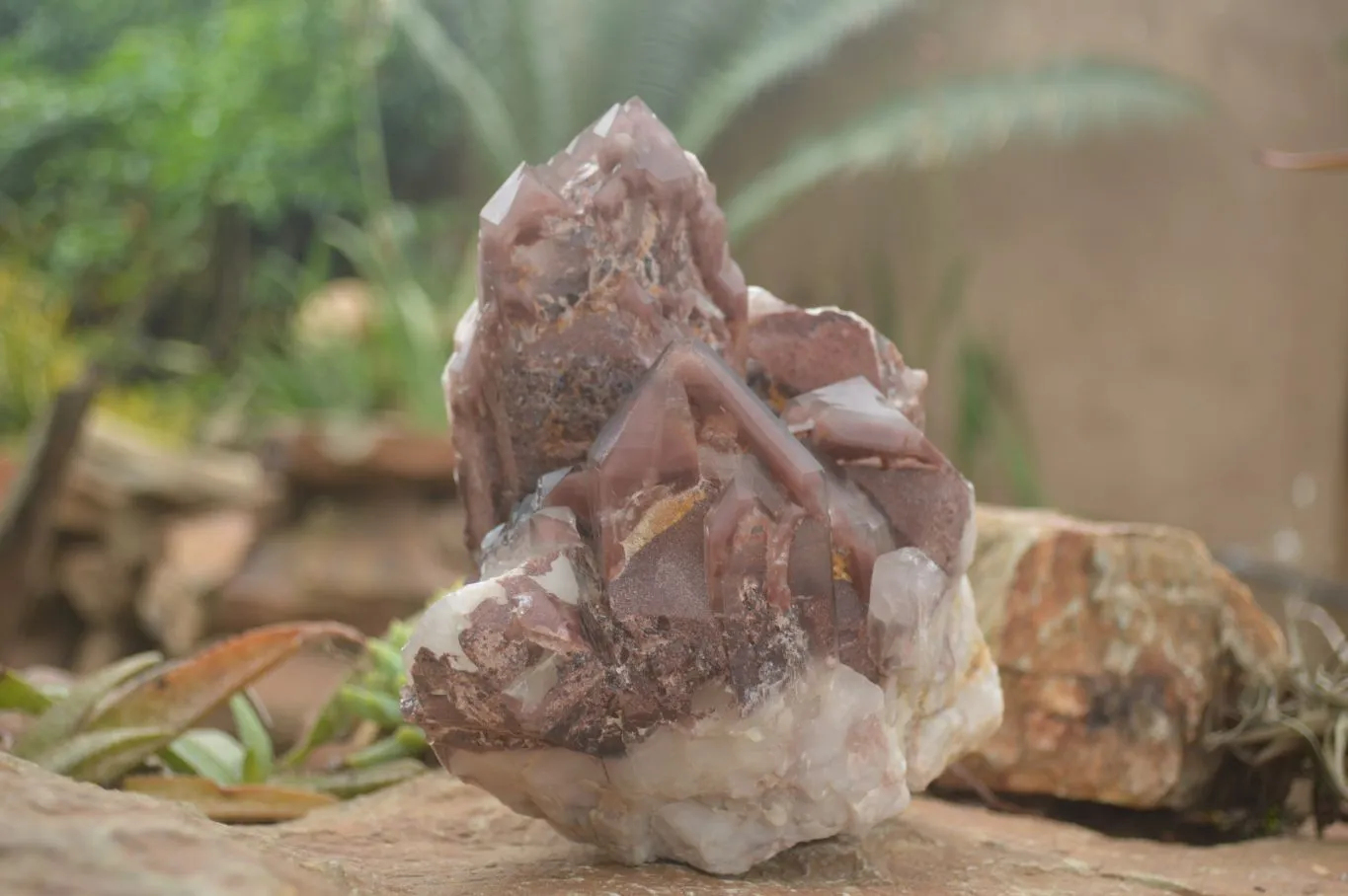 Natural Red Hematoid Quartz Specimen x 1 From Karoi, Zimbabwe