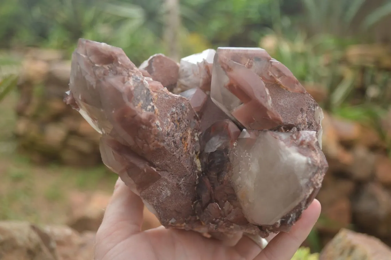 Natural Red Hematoid Quartz Specimen x 1 From Karoi, Zimbabwe