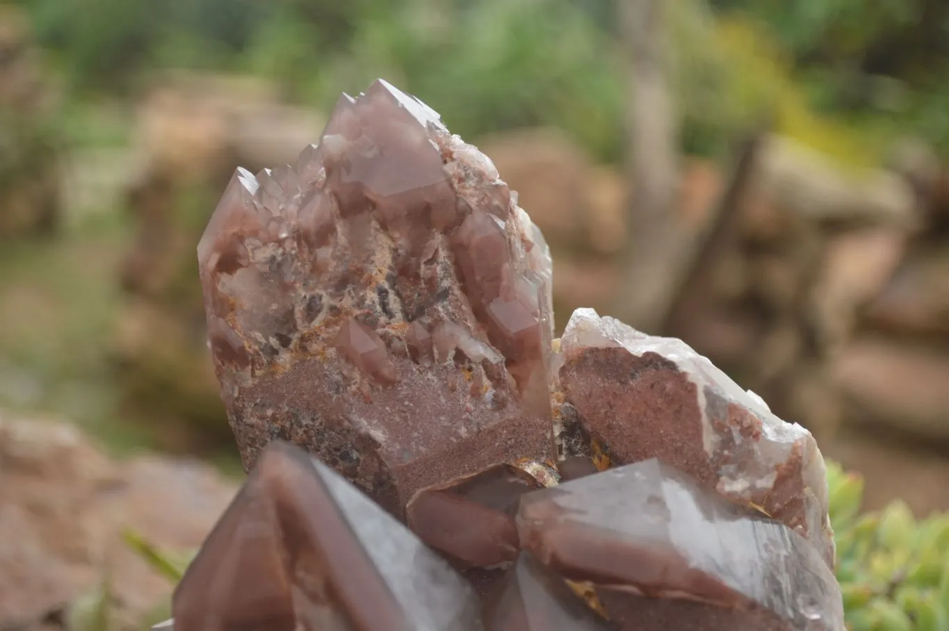 Natural Red Hematoid Quartz Specimen x 1 From Karoi, Zimbabwe