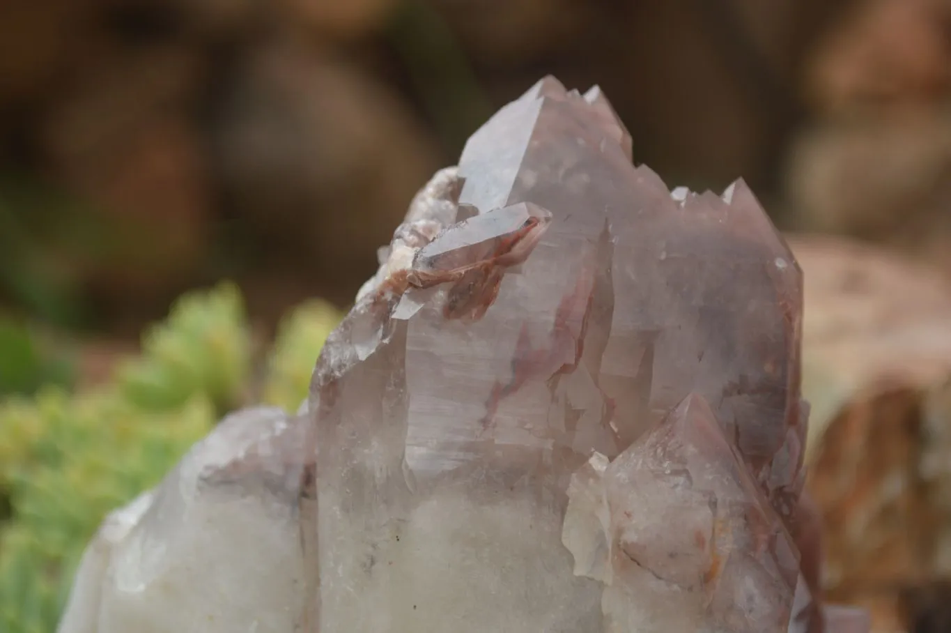 Natural Red Hematoid Quartz Specimen x 1 From Karoi, Zimbabwe