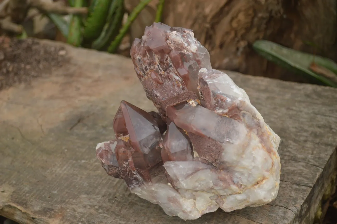 Natural Red Hematoid Quartz Specimen x 1 From Karoi, Zimbabwe
