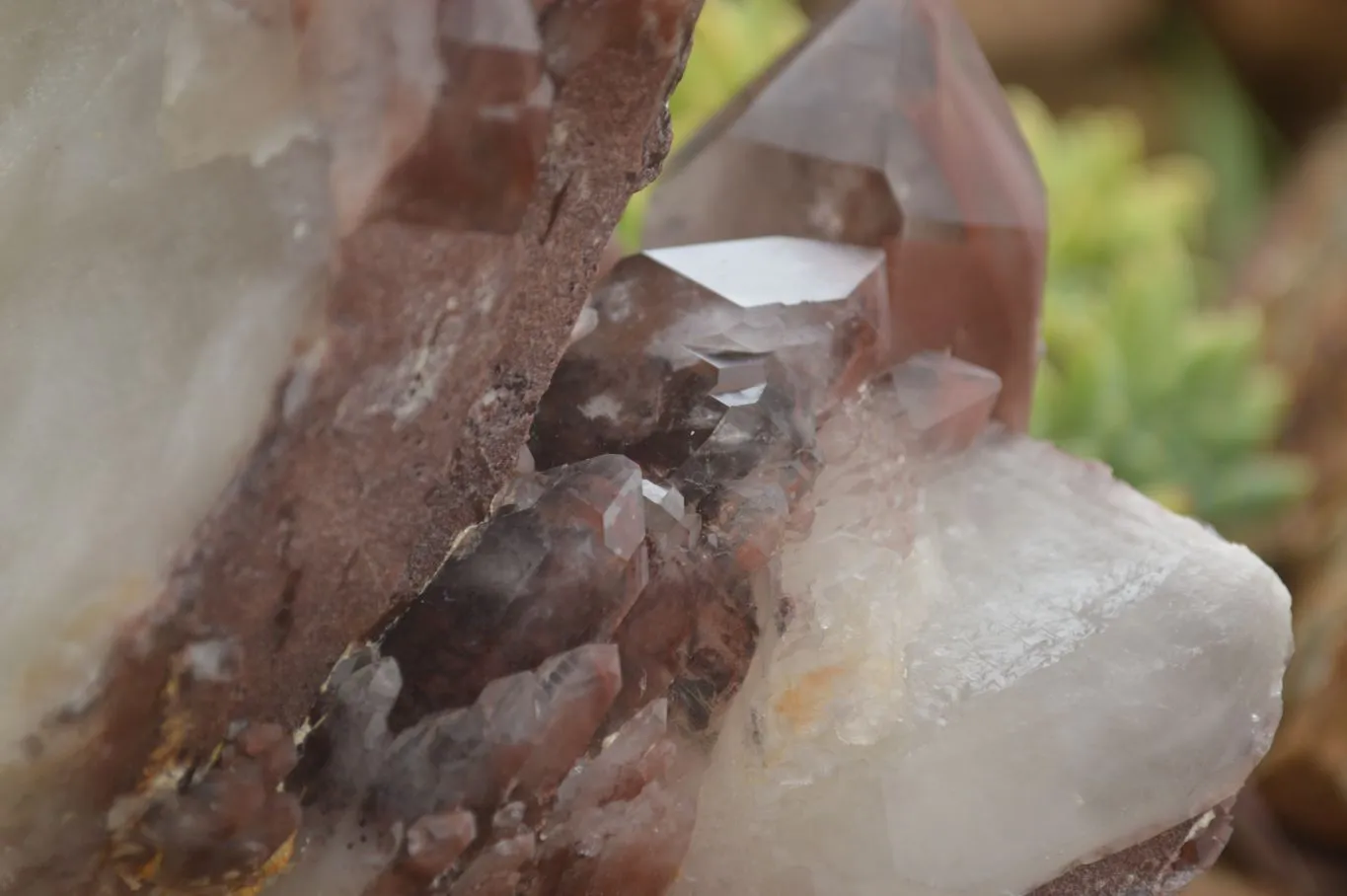 Natural Red Hematoid Quartz Specimen x 1 From Karoi, Zimbabwe