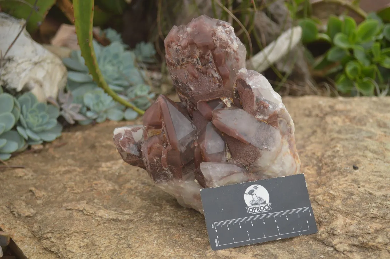 Natural Red Hematoid Quartz Specimen x 1 From Karoi, Zimbabwe