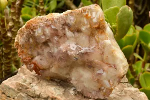 Natural Self Healed Red Hematoid Phantom Quartz Floater Specimen x 1 From Karoi, Zimbabwe