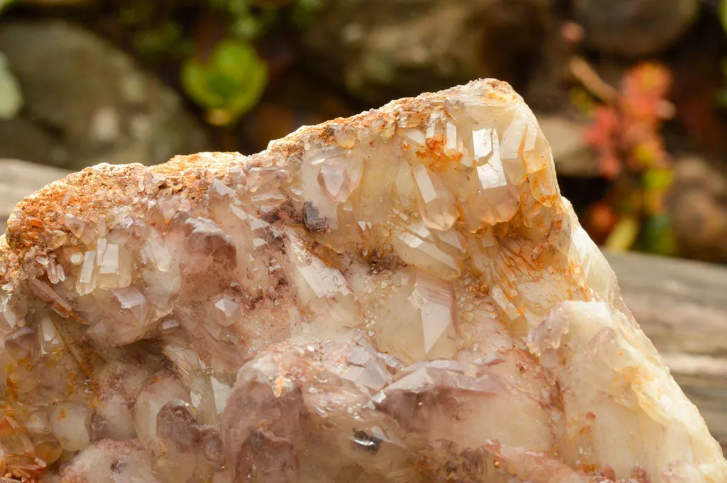 Natural Self Healed Red Hematoid Phantom Quartz Floater Specimen x 1 From Karoi, Zimbabwe
