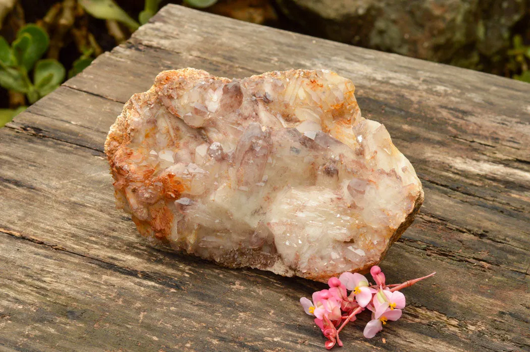 Natural Self Healed Red Hematoid Phantom Quartz Floater Specimen x 1 From Karoi, Zimbabwe