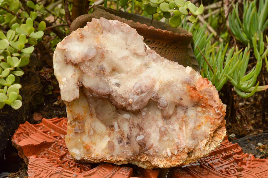 Natural Self Healed Red Hematoid Phantom Quartz Floater Specimen x 1 From Karoi, Zimbabwe