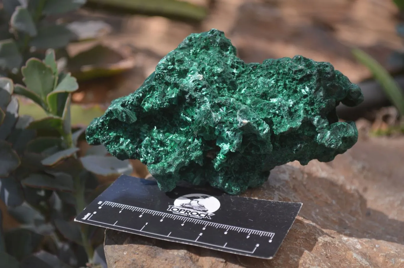 Natural Silky Malachite Specimens x 3 From Congo