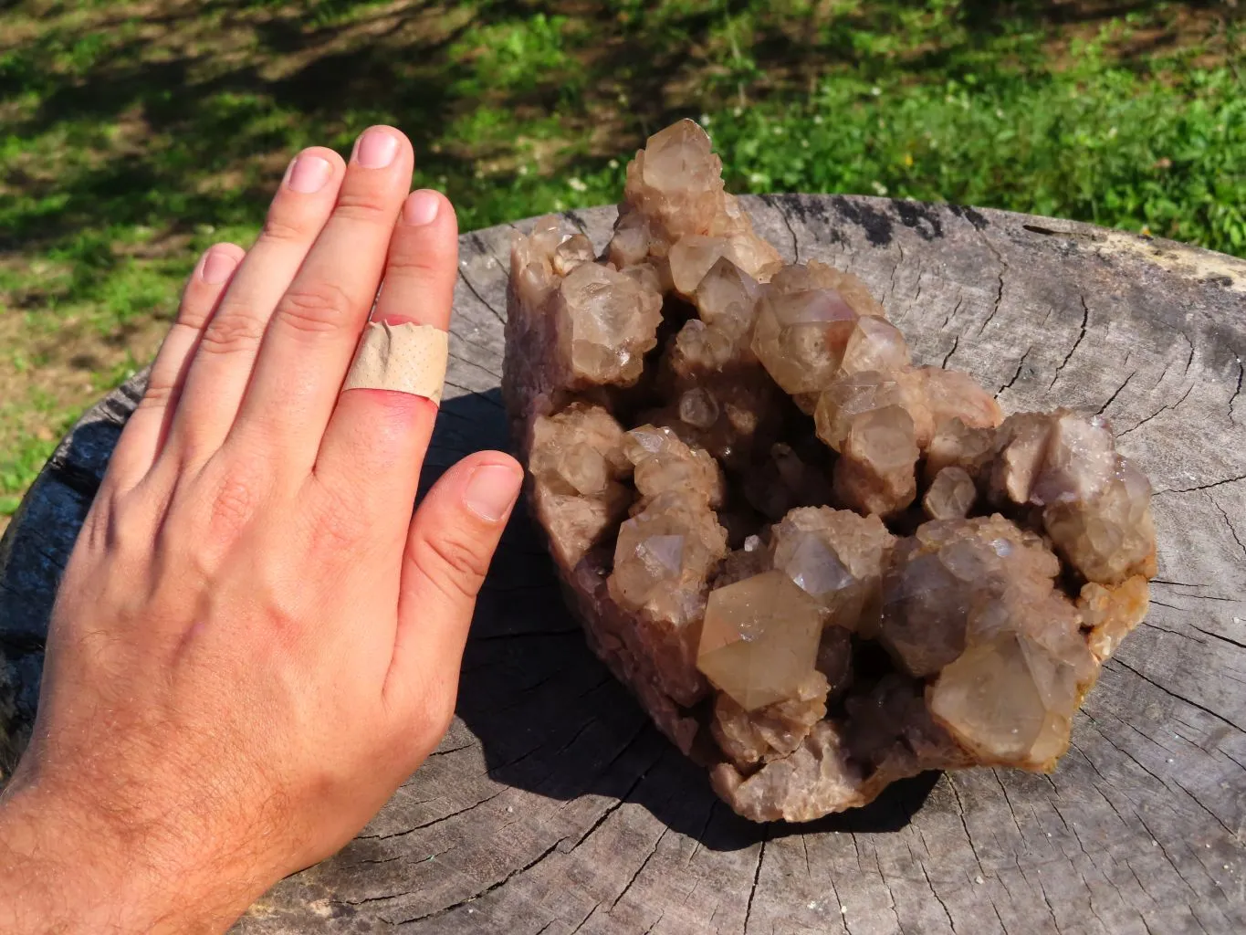 Natural Smokey Phantom Cluster x 1 From Luena, Congo