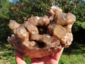 Natural Smokey Phantom Cluster x 1 From Luena, Congo