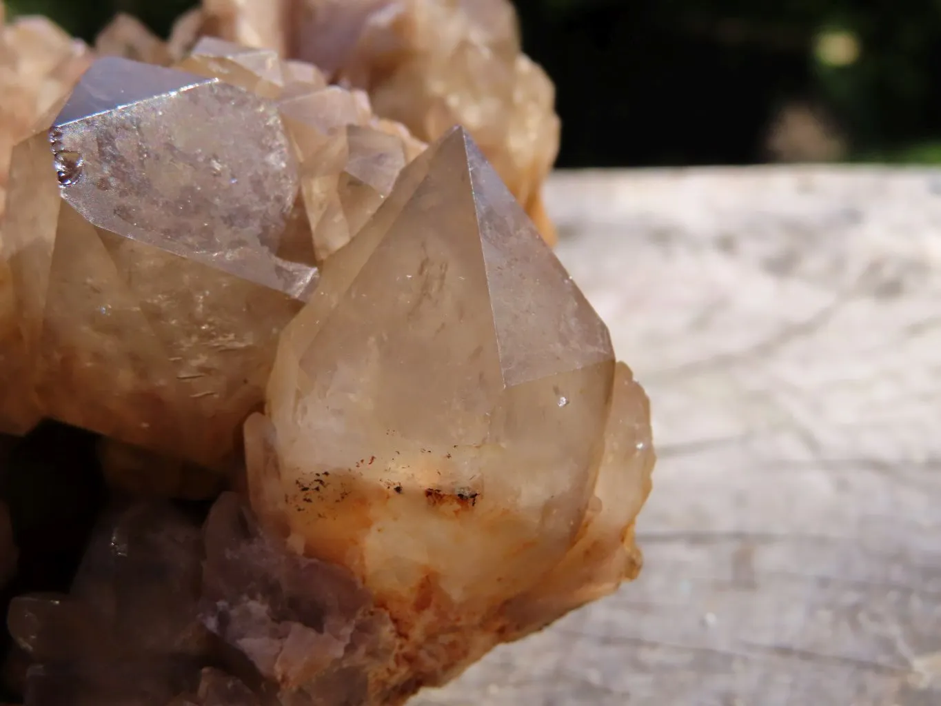 Natural Smokey Phantom Cluster x 1 From Luena, Congo