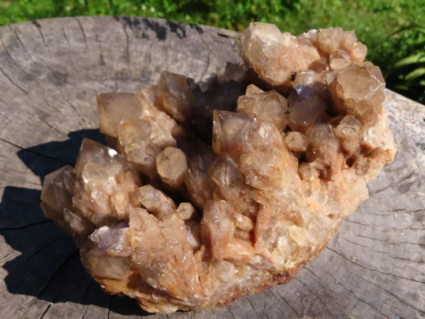 Natural Smokey Phantom Cluster x 1 From Luena, Congo