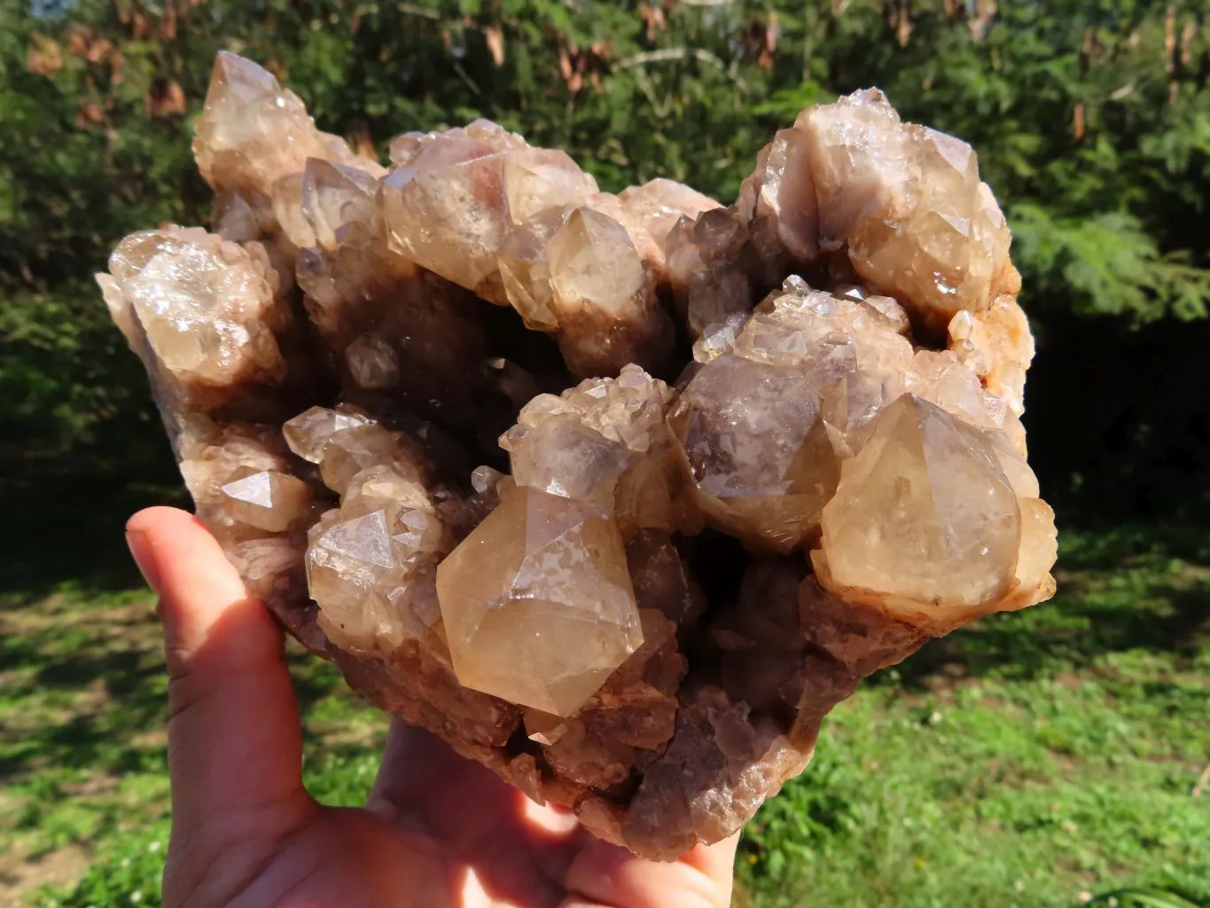 Natural Smokey Phantom Cluster x 1 From Luena, Congo