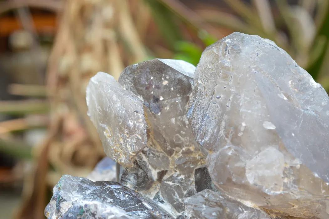 Natural XL Self Healed Smokey Quartz Cluster x 1 From Mt. Mulanje, Malawi