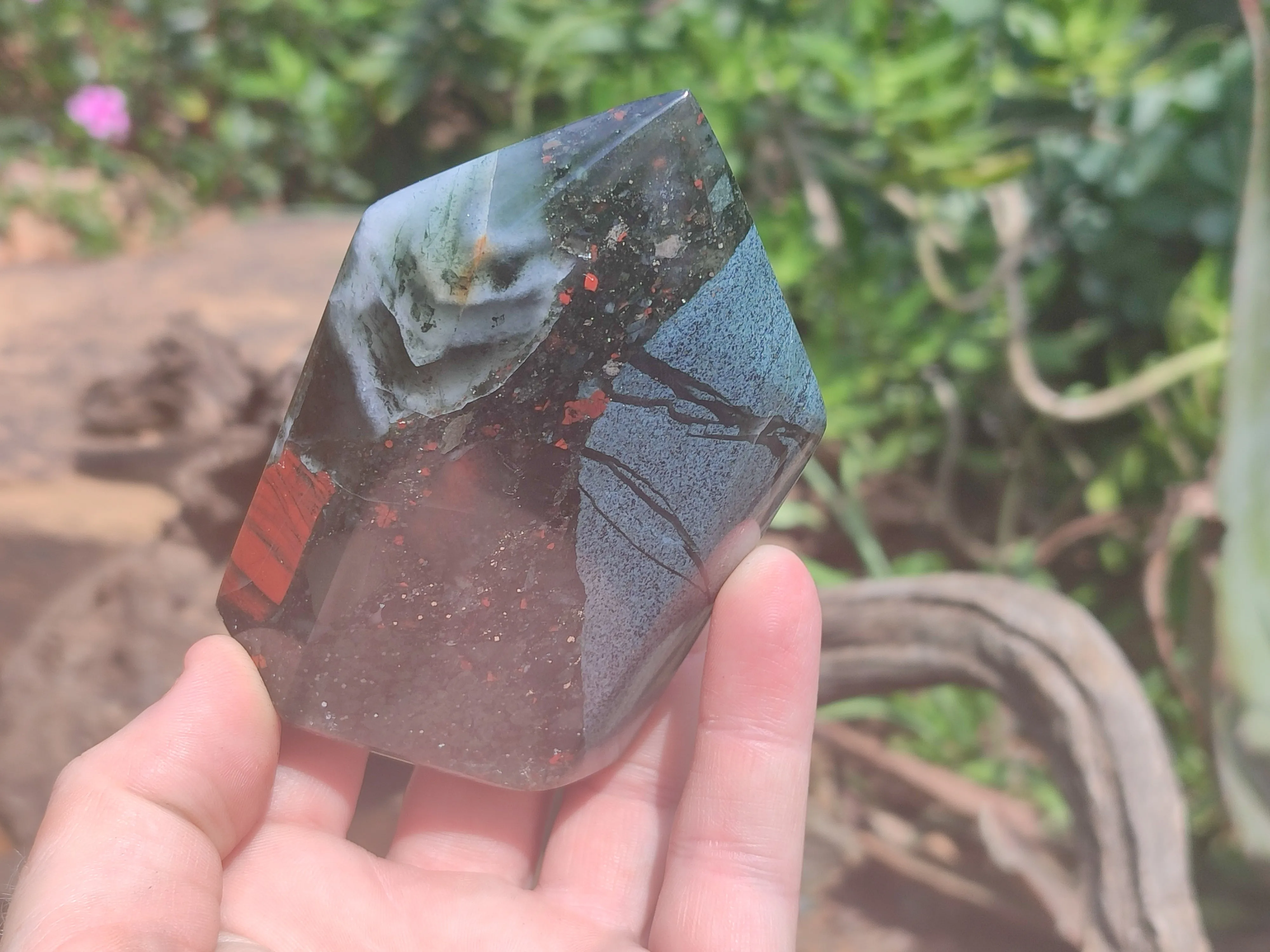 Polished Bloodstone Points x 6 From Swaziland